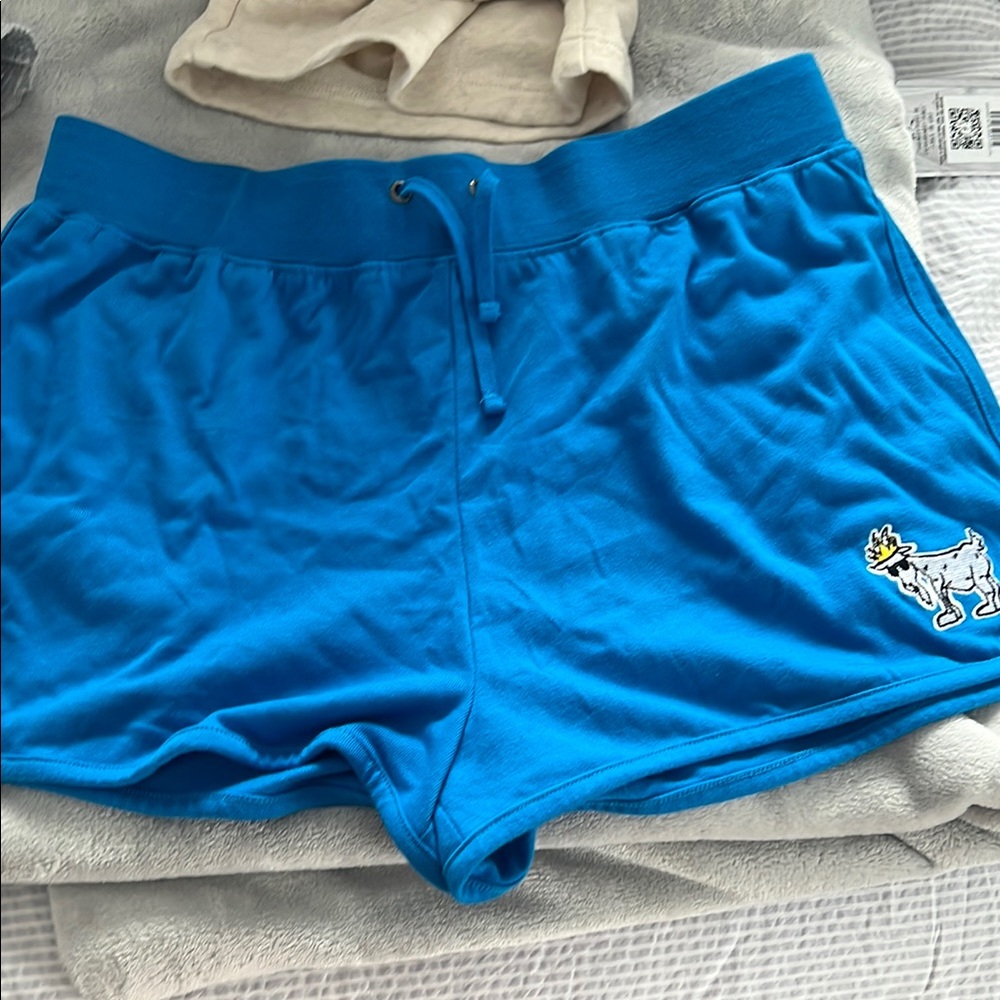 Electric Blue Athletic Shorts with Elastic Waistband